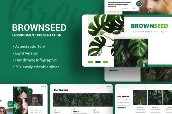 Evaluating Presentation Template - Brownseed for Professional Use