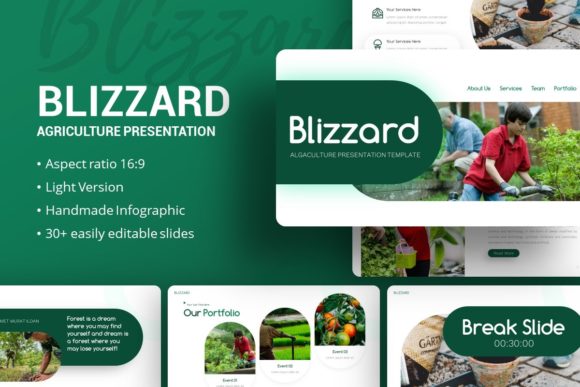 Presentation Template - Blizzard: Design Guide