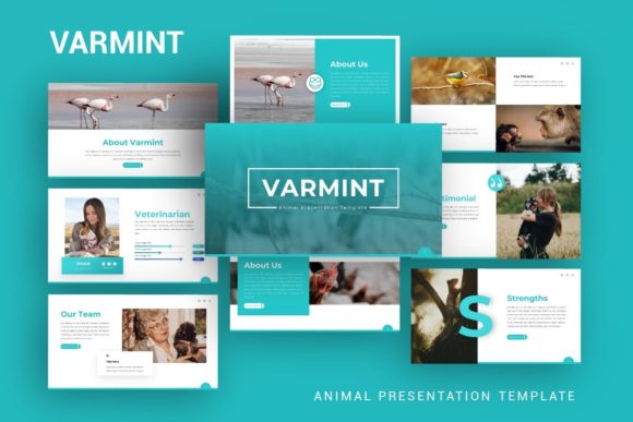Presentation Template - Varmint: A Creative Design Asset